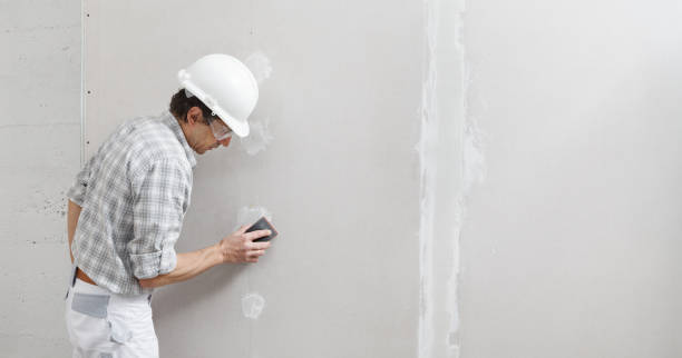 Best Drywall Crack Repair  in Hornell, NY